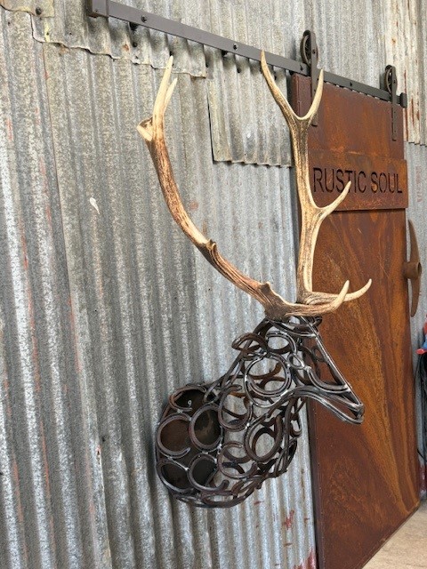 DEER - Antlers - Show piece 